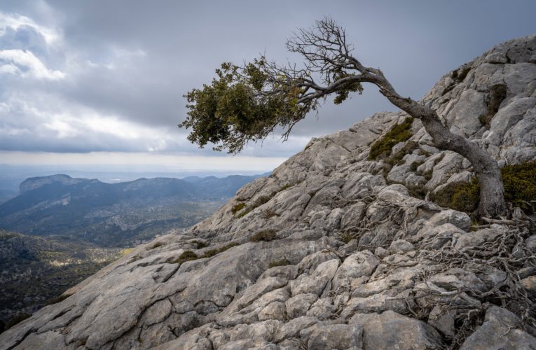 Granbury: The Importance of Resilience in Overcoming Trauma